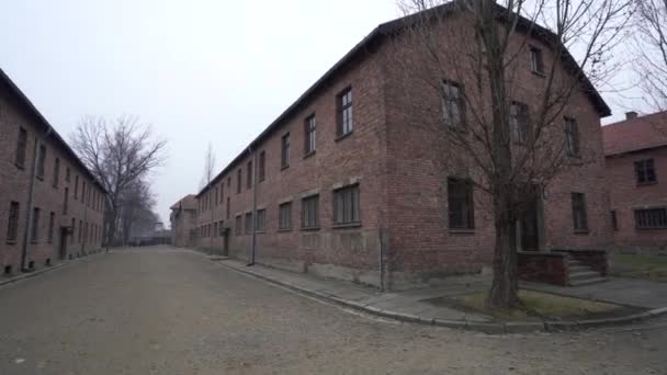 Auschwitz Concentration Camp Buildings Gloomy Winter Day — Stock Video