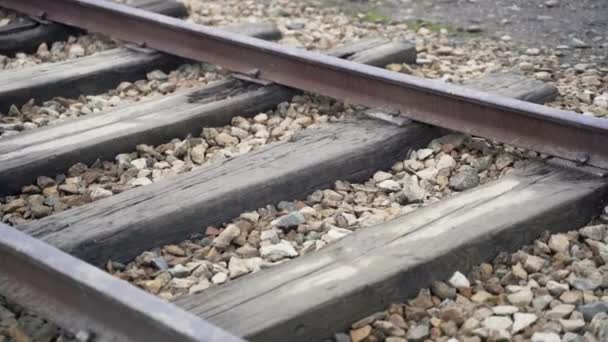 Primer Plano Las Vías Del Tren Que Conducen Cámara Gas — Vídeo de stock