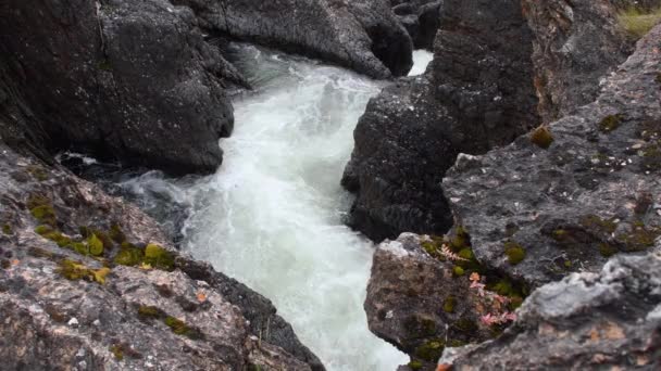 Corriente Agua Espumosa Blanca Que Fluye Rápidamente Río Abajo Través — Vídeos de Stock