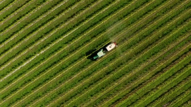 Schräge Luftaufnahme Eines Traktors Der Dünger Oder Pestizide Auf Einem — Stockvideo