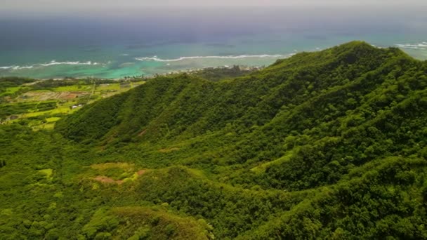 オアフ島の海岸への山脈に続くハワイ — ストック動画