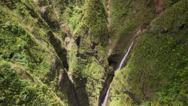 夏威夷瓦胡岛神圣瀑布的俯瞰 — 图库视频影像