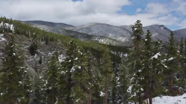 Luftaufnahmen Zeigen Eine Ausgedehnte Landschaft Mit Schneebedeckten Bäumen Und Weit — Stockvideo