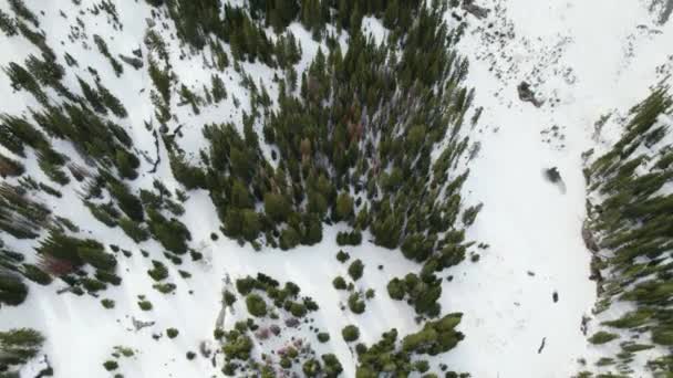 Flygfoto Tallar Längs Dalen Ett Snöigt Berg Fly Stadslivet För — Stockvideo