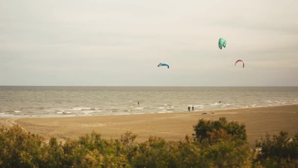 Luchtfoto Van Actieve Kitesurfer Kitesurfen Porto Barricata Bij Porto Tolle — Stockvideo