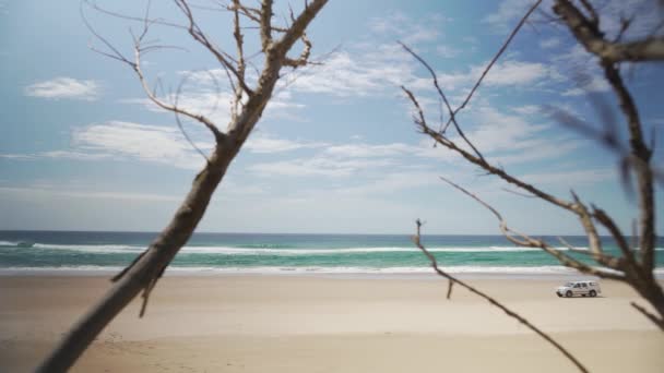 Coche Solitario Que Viaja Playa Nacional Salvaje Sodwana Bay Sudáfrica — Vídeos de Stock