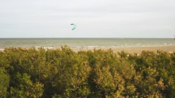 在意大利的巴里卡塔港 空中盘旋在空旷的海滩上 风筝爱好者们玩得很开心 — 图库视频影像