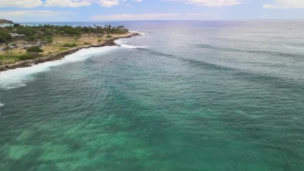 Vagues Dans Océan Sur Côté Ouest Oahu Hawaii — Video