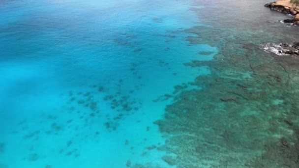 オアフ島の海岸線とサンゴ礁の空中ビュー — ストック動画
