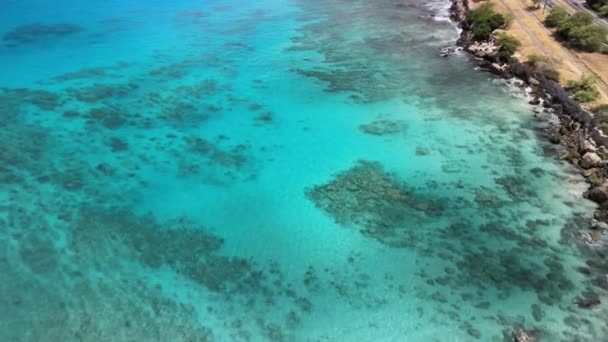 オアフ島の美しい青いサンゴ礁ハワイ — ストック動画