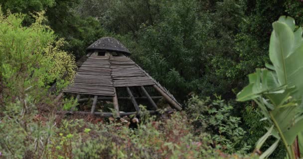 Eine Marode Hölzerne Dachkonstruktion Mitten Wald — Stockvideo