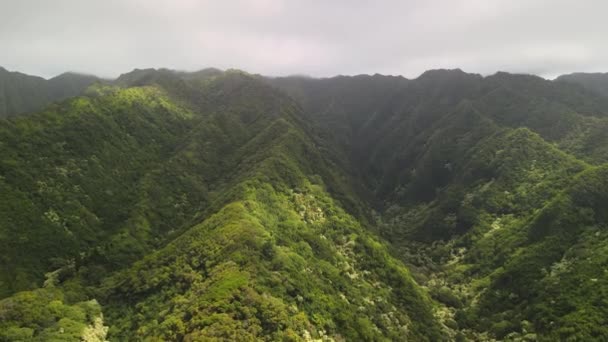 Meluncur Sepanjang Punggung Bukit Hawaii — Stok Video