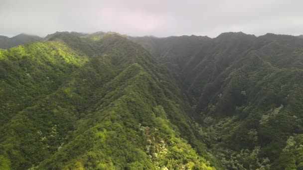 Вид Воздуха После Долины Гавайях — стоковое видео