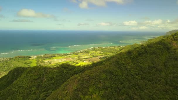 Hav Och Kust Avslöja När Flyger Hawaii — Stockvideo