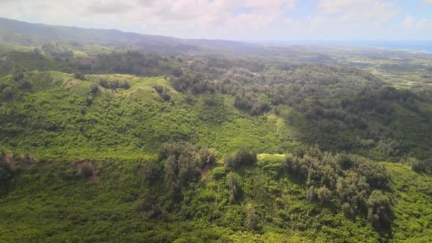 Vanuit Lucht Gezien Vanaf Drone Uitzicht Bergen Aan Oostkant Oahu — Stockvideo