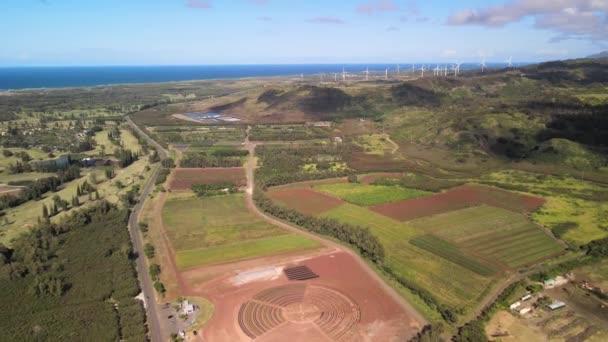 Légi Felvétel Drónlövedékről Elrepül Szélmalmoktól Oahu Hawaii — Stock videók