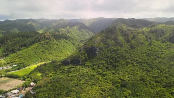 Vista Aérea Desde Arriba Disparo Dron Vista Las Montañas Koolau — Vídeos de Stock