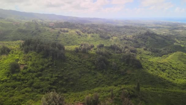 Flygbild Från Ovan Drönarskott Utsikt Över Bergen Oahu Hawaii — Stockvideo