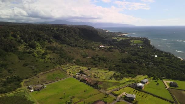 Vista Aérea Cima Tiro Drone Vista Floresta Montanhas Costa Oceânica — Vídeo de Stock