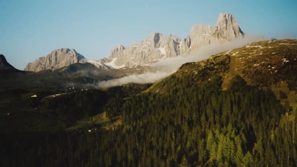 Discesa Aerea Camion Alberi Foresta Verde Che Crescono Nelle Alte — Video Stock