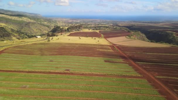 上空からのドローンの空中ビュー ハワイの農業コミュニティ — ストック動画
