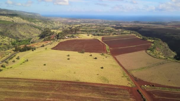上空からのドローンの空中ビュー オアフ島の農場の土地ハワイ — ストック動画