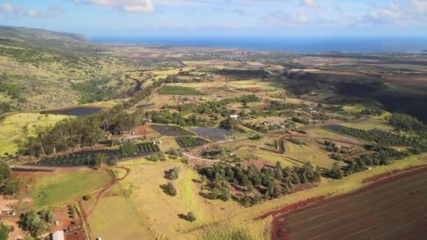 上空からのドローンの空中ビュー ハワイ州にファーム バレー — ストック動画