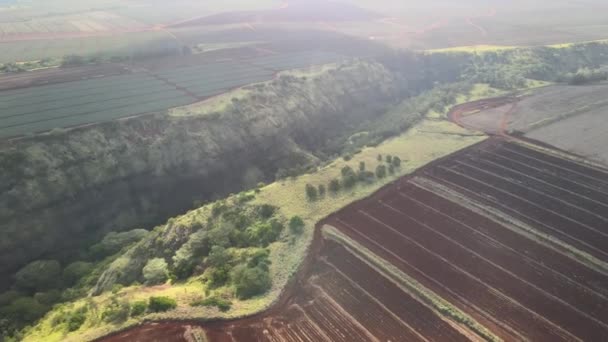 上空からのドローンの空中ビュー ハワイの谷の隣の農場 — ストック動画
