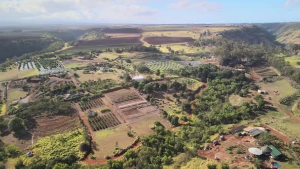 上空からのドローンの空中ビュー ソーラーパネル付きの農場 — ストック動画