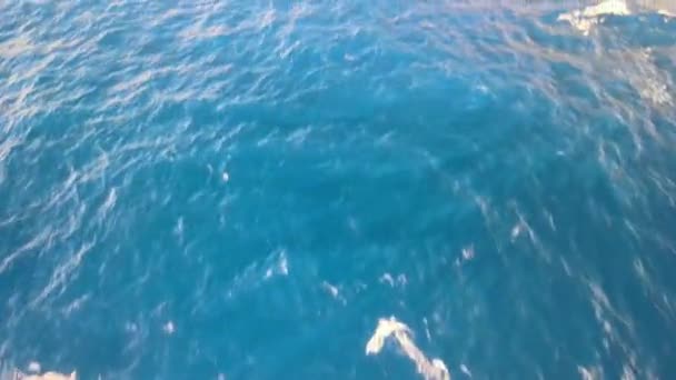 Воздушное Выявление Макапуу Легкий Дом След Waimanalo Гавайи — стоковое видео