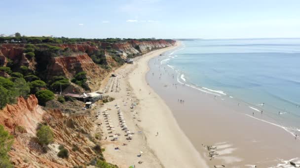 Luchtfoto Van Falesia Beach Genieten Door Toeristen Tijdens Zomervakantie Albufeira — Stockvideo