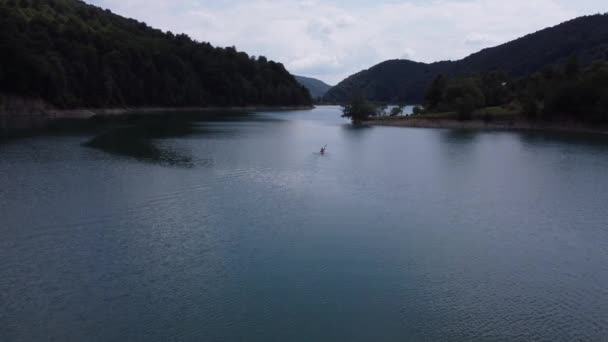 牛や羊が住み ルーマニアのDoftanaバレーのPaltinu湖の近くで健康的な食事をする緑の土地に沿って漕ぐカヤックの空中ズームショット — ストック動画