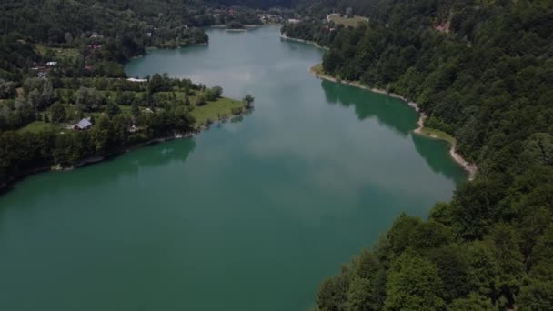 Αεροφωτογραφία Του Όμορφου Τοπίου Των Δασών Και Των Λιμνών Ένα — Αρχείο Βίντεο