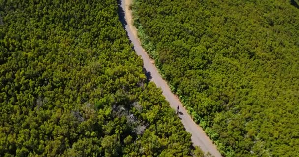 Люди Прогуливающиеся Пешеходной Тропе Левады Делают Алекрим Пышным Зеленым Лесом — стоковое видео