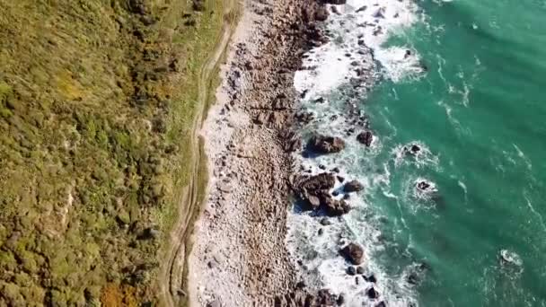 Aerial Coast Fox River South Island New Zealand Top Tilt — Stock Video