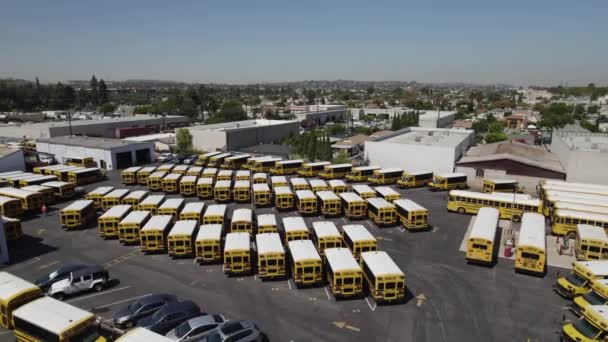 数十辆黄色校车停放在停车场 学校关闭和公共汽车司机短缺造成了问题 失败的学校制度 — 图库视频影像