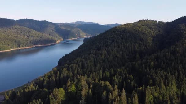 Drohne Steigt Über Einem Wald Auf Und Zeigt Einen Schlängelnden — Stockvideo