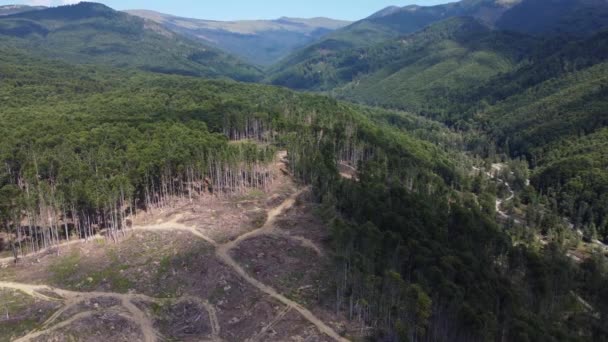 Aeronáutica Desmatamento Hill Forest Romênia Europa Central Tiro Panning Drone — Vídeo de Stock