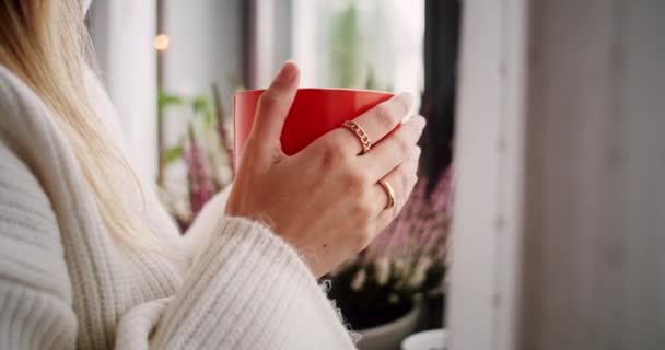 Close Mãos Uma Jovem Segurando Uma Grande Caneca Vermelha Café — Vídeo de Stock