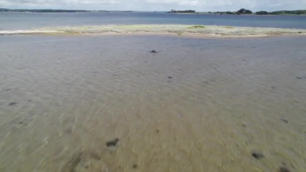 Beautiful Flyover Drove View Tongue Beach Sea Tilt Shot — Stock Video