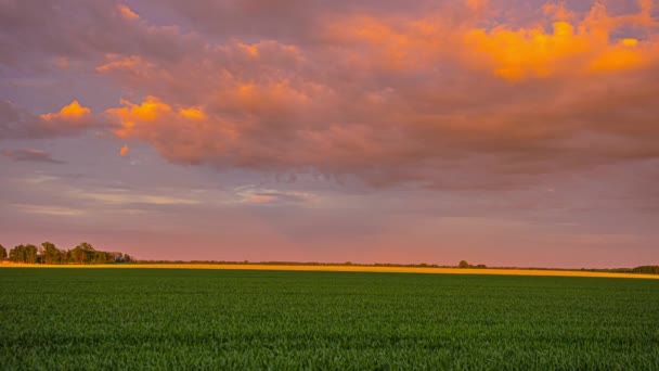 Utrata Czasu Ujęcie Idyllicznego Pola Rolniczego Ruchome Chmury Kolorowym Niebie — Wideo stockowe