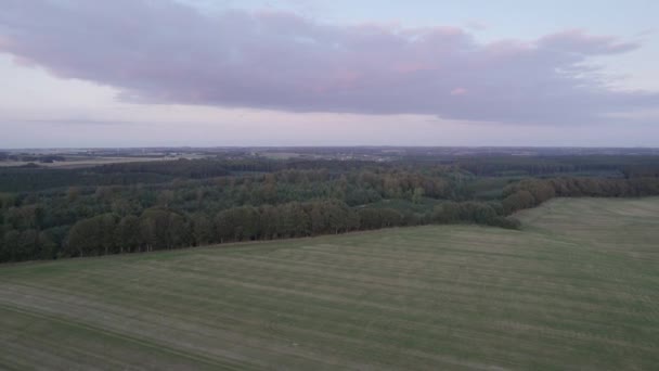 Vista Aérea Floresta Dinamarca Luz Dia Drone Tiro Voando Sobre — Vídeo de Stock