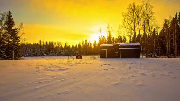Piękny Żółty Zachód Słońca Nad Zimowym Polem Lasu Iglastego Domkiem — Wideo stockowe