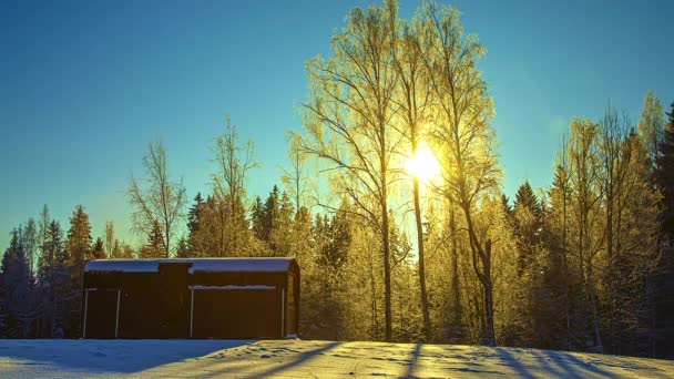 Thermowood House Green Forest Een Zonnige Dag Verval Van Tijd — Stockvideo