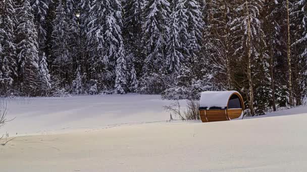 Sauna Termowoodowa Zamarzniętej Łące Lasem Iglastym Tle Timelapse Sezon Zimowy — Wideo stockowe