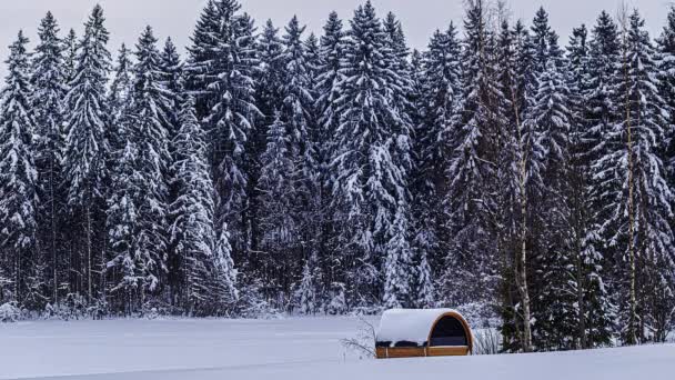 Blizzard Padající Boreální Les Izolované Termální Dřevěné Sauny Přírodě Timelapse — Stock video
