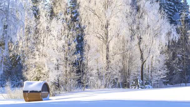 覆盖着冬季风景的白雪 树在风中摇曳 把热木桑拿藏在野外 — 图库视频影像