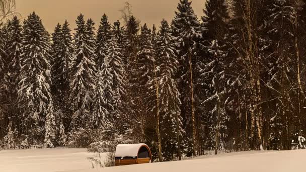 サンセット時の吹雪の中 田舎の森の森の中にあるサーモッドバレルサウナ タイムラプス — ストック動画
