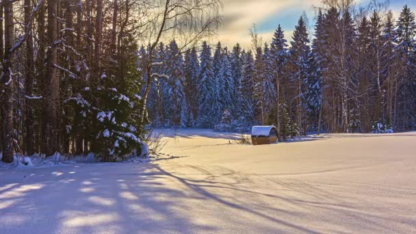 Vinterlandskap Timelapse Lövskog Och Träfat Bastu Täckt Snö — Stockvideo