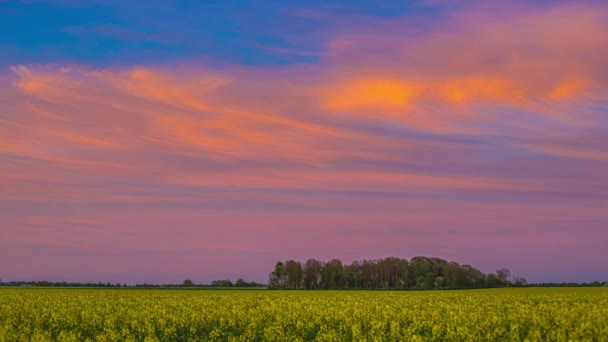 Bunte Wolken Die Sich Himmel Bewegen Sonnenschein Vom Sonnenuntergang Auf — Stockvideo